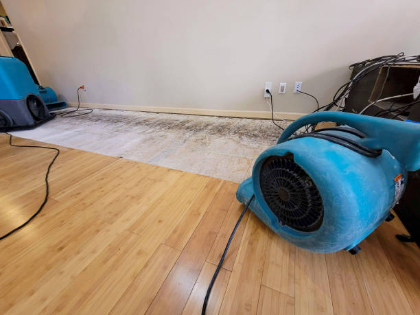 Professional Burst Pipe Water Damage technician working in White City, UT